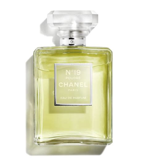 chanel n 19 poudré composition|chanel no 19 parfum discontinued.